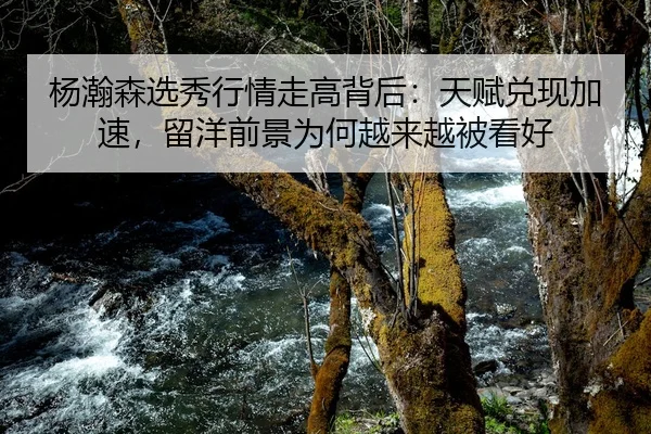 杨瀚森选秀行情走高背后：天赋兑现加速，留洋前景为何越来越被看好